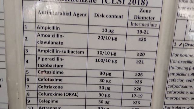 In vitro use of antibioctics for various bacteria according to CLSI смотреть онлайн
