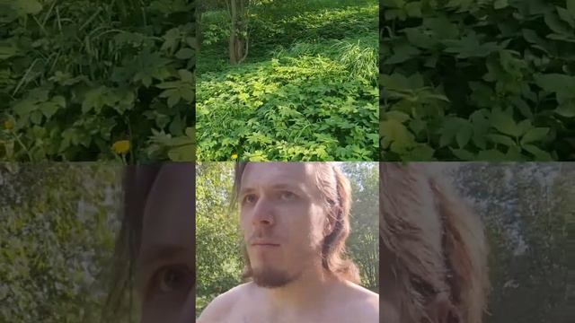 Какие числа я вижу в жизни,и как я их читаю. Что они значат. Числа в жизни ✓300 секунд