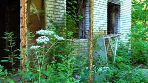 Посёлок Правда. Заброшенное.