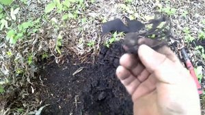 Проверка Гаррет Ася 250 после доработки.