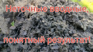 д.Сельниково