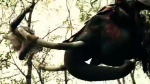 Король и шут - Инквизитор | Фан-Клип | Александр