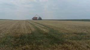 ДОН-680 и РСМ 1401 на уборке сенажа 2023❗