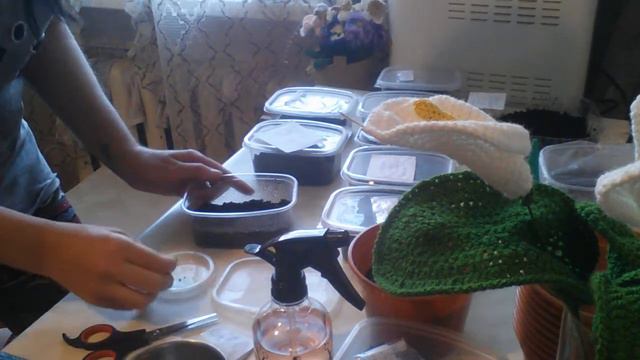 Абутилон продолжение 2 части смотреть онлайн