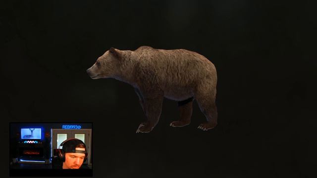 5 Star Kodiak Bear | Way of the Hunter | Aurora Shores смотреть онлайн