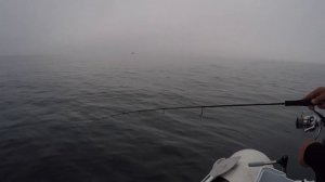 Джиг в Черно Море с  Active Target