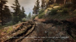 Ведьма [The Vanishing of Ethan Carter]