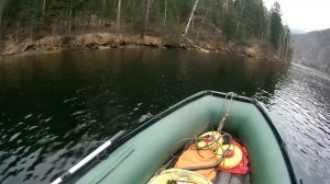 Бобры...где живут и чем питаются...Бобровая хатка