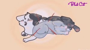 Клип°Лучшая Подруга°-Коты Воители-|Дроздовик и Синигривка(Синяя Звезда)|√Black Cat√