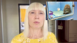 Что с Тимой…..