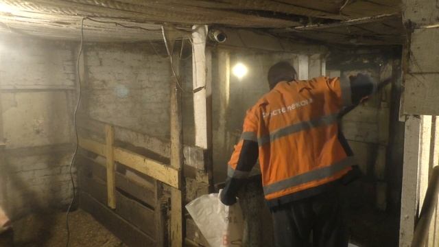 Подстилка из опилок для свиней и кур. Жизнь в деревне смотреть онлайн