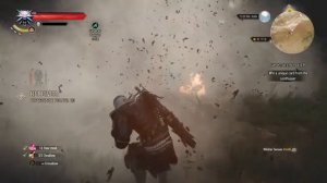 The Witcher 3: Wild Hunt Monster Nest Epic Fail.