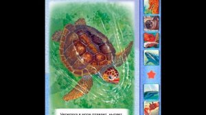 В море. Обучающая игра . Мир зверей для малышей. Играем вместе. Игрушки и игры с детьми.