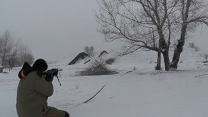 Сквозь кусты 9,6/53 Lancaster