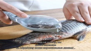 Растения подходящие знаку зодиаку Рыбы по гороскопу