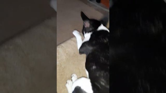 8 февраля 2021 г.