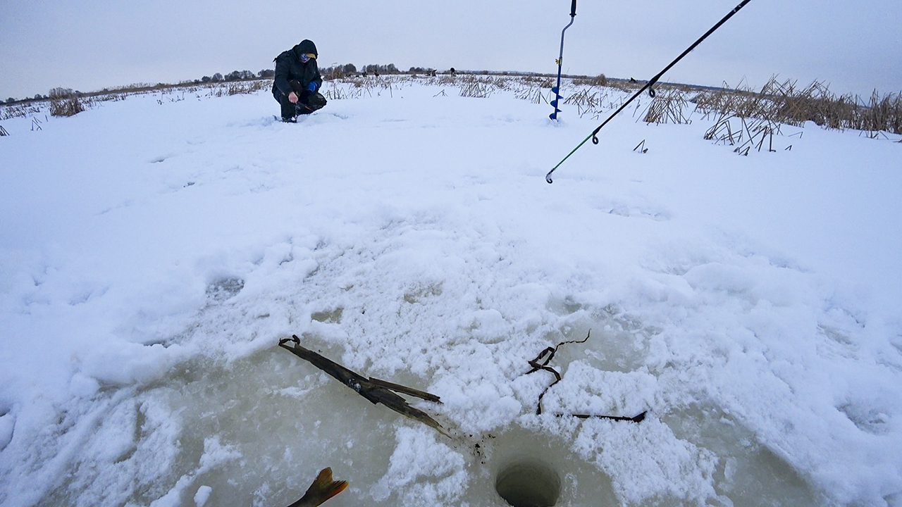 В Этом ТРОСНИКЕ, КРУПНЫЙ окунь, НЕ ПРОЛАЗИТ В ЛУНКУ! Рыбалка зимой на балансир в 2022