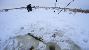 В Этом ТРОСНИКЕ, КРУПНЫЙ окунь, НЕ ПРОЛАЗИТ В ЛУНКУ! Рыбалка зимой на балансир