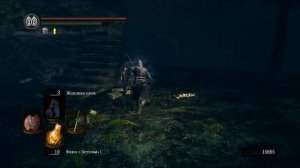 Dark Souls: PtDE. Фарм душ в Лесу Темных Корней