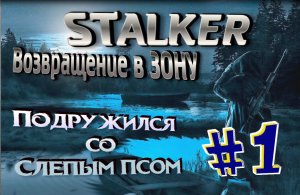 ПОДРУЖИЛСЯ СО СЛЕПЫМ ПСОМ РЖАКА  Сталкер STALKER Возвращение в Зону