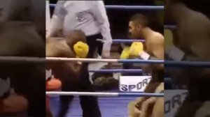 Насим Хамед(Принц)