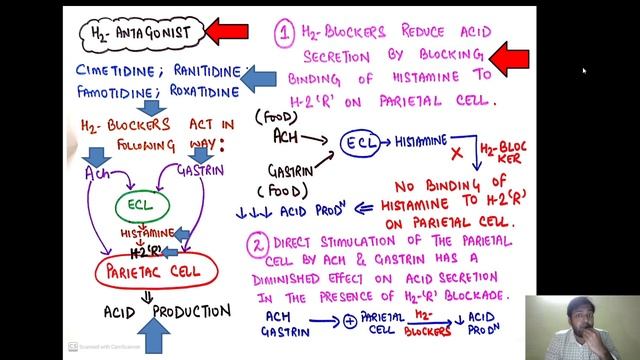 PHARMACOLOGY LECTURES II GIT-ACID PEPTIC D/O II PART 1 II H-2 BLOCKERS II KATZUNG II смотреть онлайн
