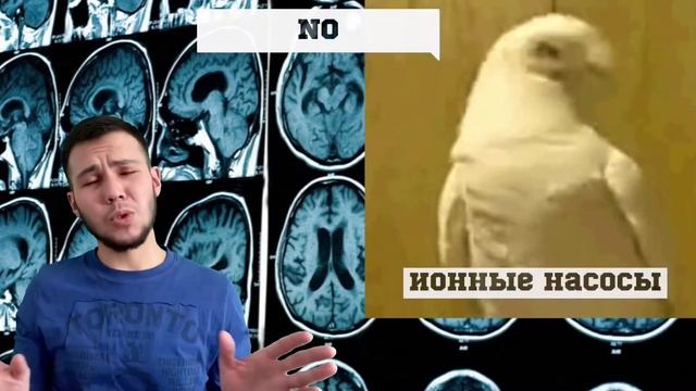 ОТЕК МОЗГА. ПРОЩЕ ГОВОРЯ... смотреть онлайн