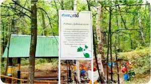 Родник "Дубовый куст" Переволоцкий район Оренбургской области.