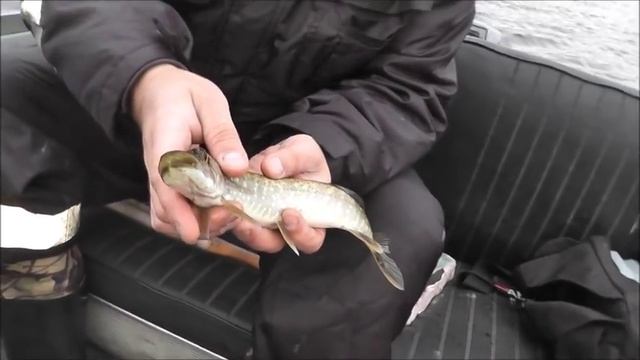 Карелия Сентябрь 2016 г. Озеро Лижмозеро смотреть онлайн