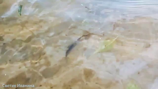 Релакс для души! Вода снимает напряжения,стресс и раздражения. смотреть онлайн