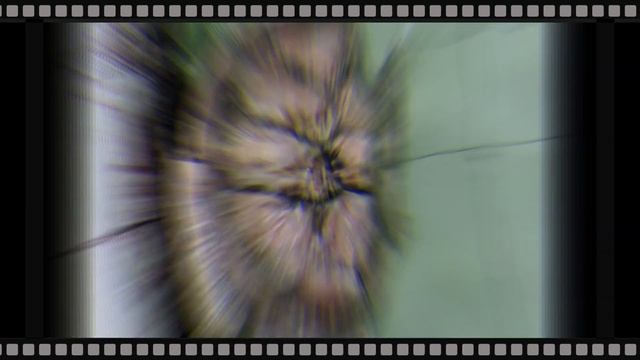 Cherating Turtle Sanctuary - Save the Turtles! смотреть онлайн