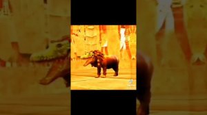 –Подборка из Тик Тока Вилд Крафт– Эдиты