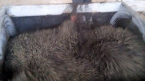 Двухвальный бетоносмеситель БП-2Г на 1000 л готового бетона