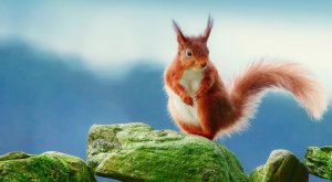 Жадная старуха