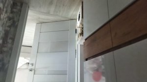 сборы к прабабушке с Евой