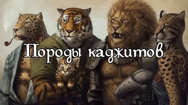 Каджиты, дети Лун | TES Лор [AshKing]