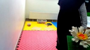 #Конструктор Поделки из #Лего. Подарки маме 8 Марта. Play with Ladushka