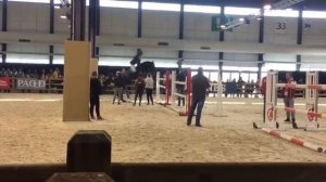 SALON DU CHEVAL DE BORDEAUX ! (SPECTACLES, RENCONTRES, PADDOCK...)