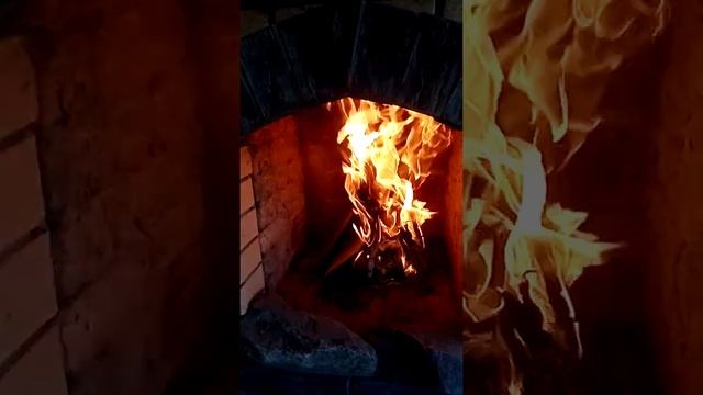 VID 20220608 1848271 смотреть онлайн