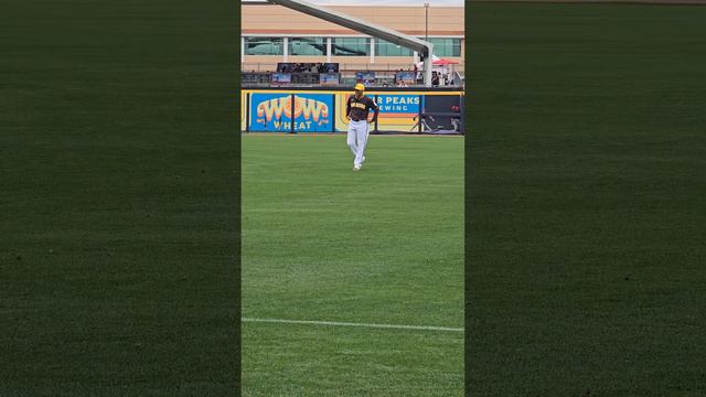 Manny Machado & Profar Spring Training 2024 #baseball #mlb #sandiegopadres #sports #padres #sandieg