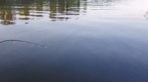 Окунь на раттлин RAID JAPAN Level Vib