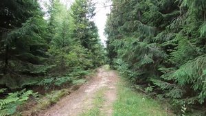 Поход выходного дня. Река Нерская, Анциферово - Подосинки RuTrail. 1 часть