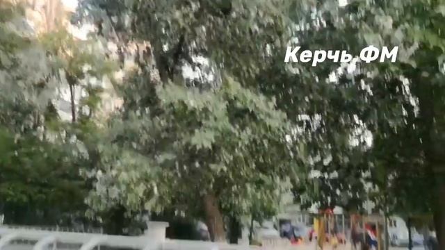 Ад для аллергика: на Вокзальном шоссе появился «ковер» из тополиного пуха смотреть онлайн