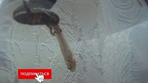 Огромный жук плавунец против рыбки!