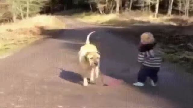 БЕРЕГИТЕ СВОИХ ДЕТЕЙ смотреть онлайн