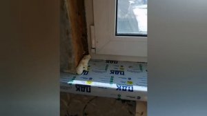 25 марта/Монтаж подоконника и откосов пластикового окна в кухне.