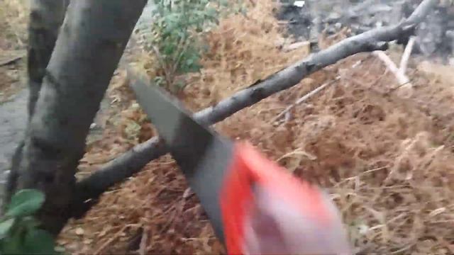 ?ТЕСТ САМОЙ ДЕШЕВОЙ ПИЛЫ В МИРЕ ЗА 160₽ из фикспрайса (greenart)