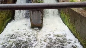 Заброшенная ГЭС на реке Быстрица