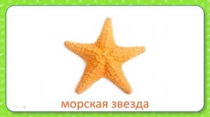 Развивающие карточки Домана для детей Морской мир