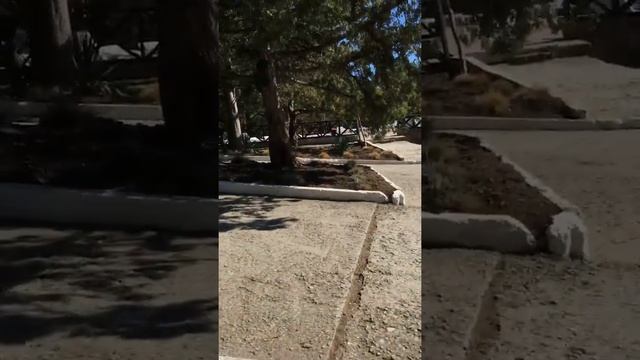 Гостиничный комплекс «Новый свет» смотреть онлайн